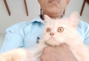 Asbhudheen